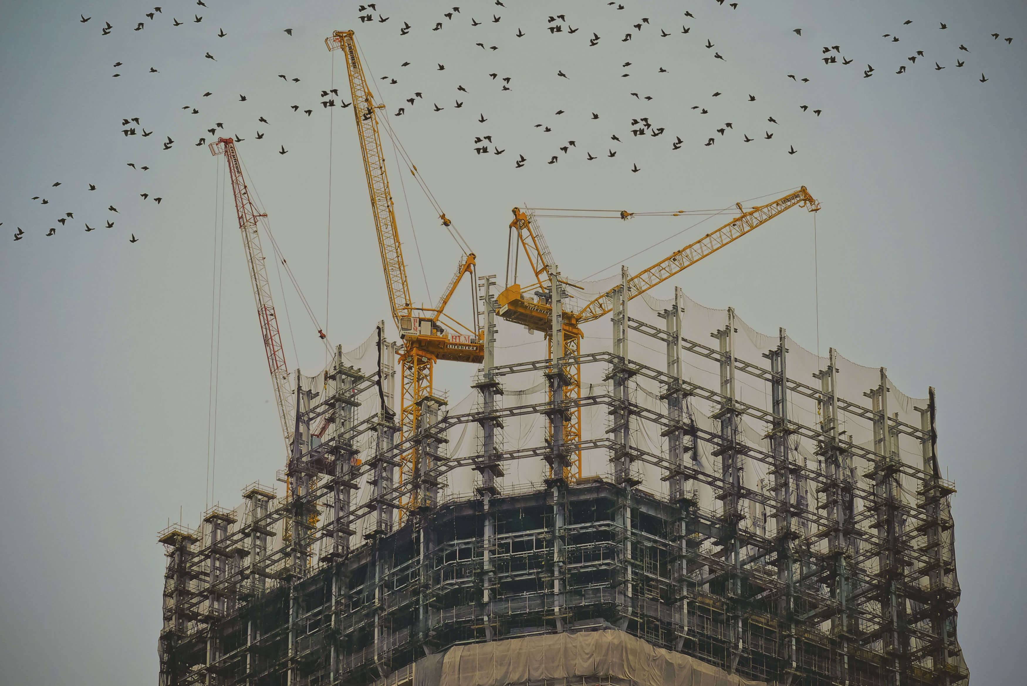 Baustelle mit Kränen – Einsatzgebiet der Tröga-Mitarbeiter